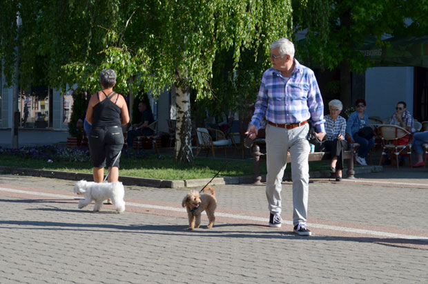 СПОР ПЕНЗИОНЕРА И ГРАДА ВРШЦА: Ко ће коме враћати новац